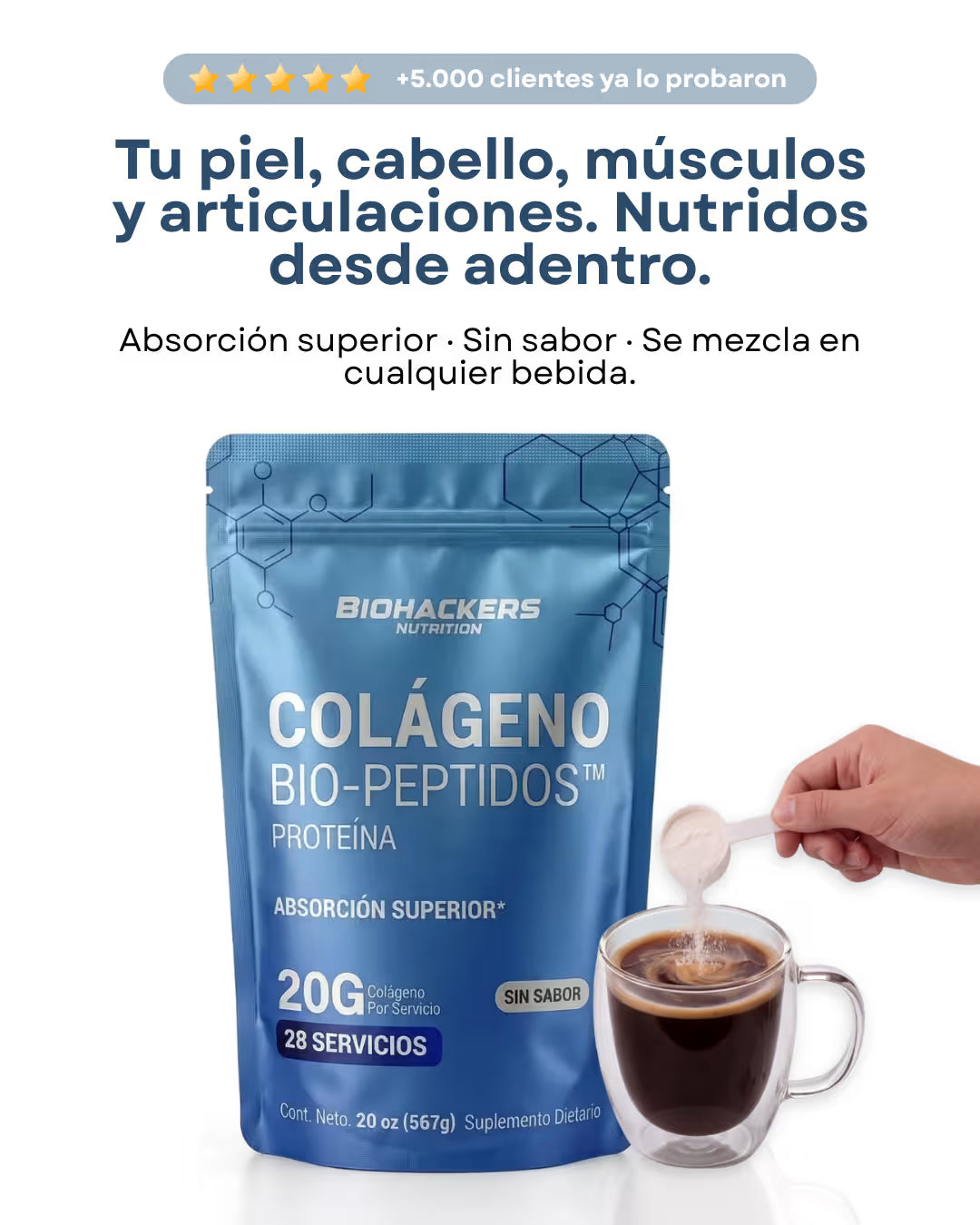 Colágeno Bio-Peptidos + Proteína & Aminoácidos